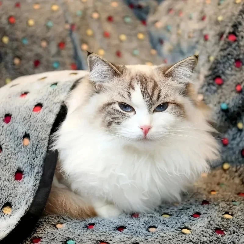 3PCS Soft Fluffy Pet Blanket Cute Dot Pattern Cozy Warm Blanket Cat Dogs Bed Small Large Dogs Mat Cover Pet Supplies Dog clothes